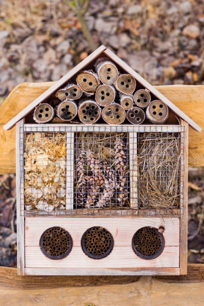 istock Closeup of an insect hotel 2151605487