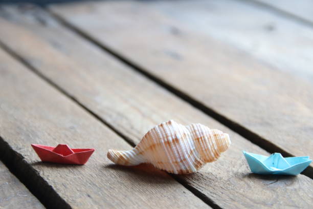 istock Summer background. Seashell on a wooden background. 2151606893