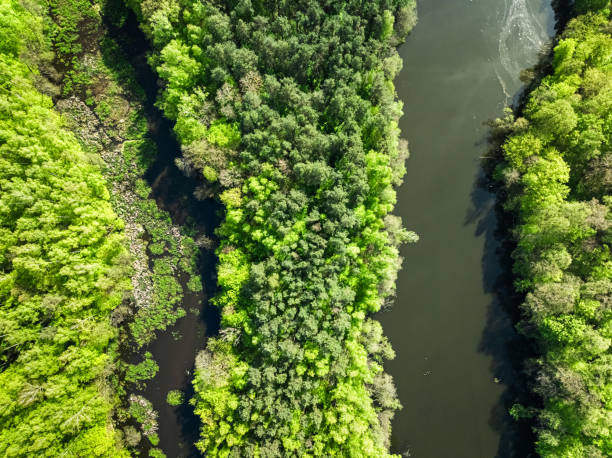istock Top down view of river and swamps at spring. 2151612561