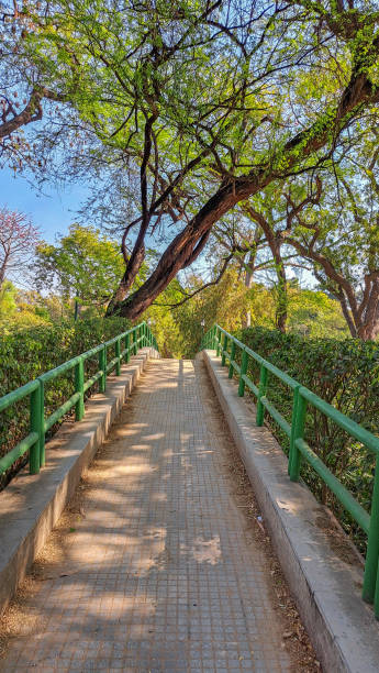 istock Pathway, Lodhi Garden Park, New Delhi, India. Greenery, under clear blue sky. Lined with trees. 2151613250