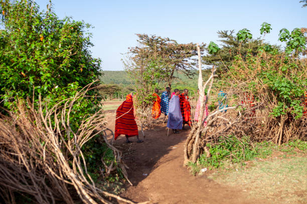 istock Maasai Mara National Reserve, Narok, Kenya 2151620023