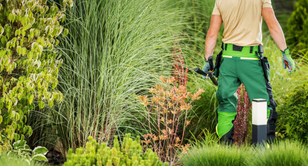 istock Caucasian Garden Worker with Pro Scissors in His Hands 2151620048