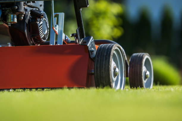 istock Gasoline Garden Verticulator Aerator in Action 2151620638
