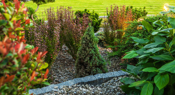 istock Small Rockery Garden Close Up Photo 2151620731