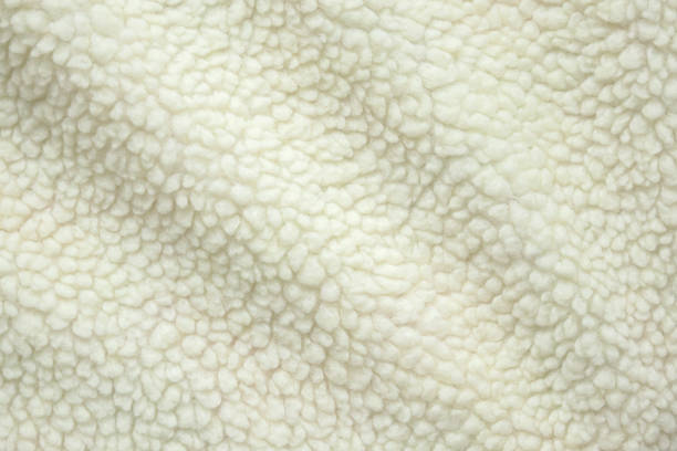 istock Wool plush fleece fur fabric texture background 2151624917