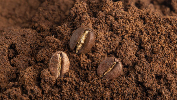 istock freshly roasted coffee beans on a background of ground coffee 2151633213