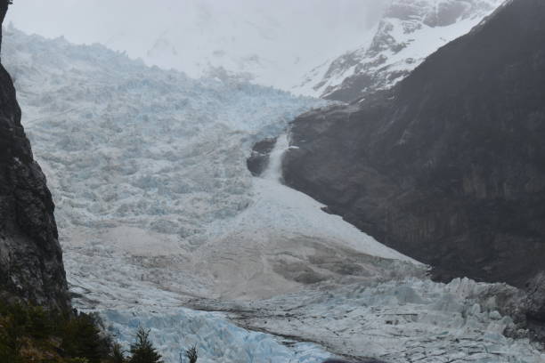 istock Serrano Glacier in Bernardo O'Higgins  National Park 2151636171