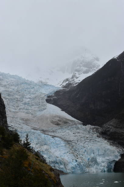 istock Serrano Glacier in Bernardo O'Higgins  National Park 2151636223