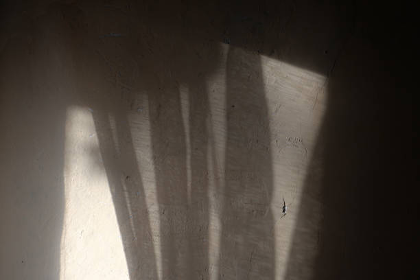 istock a shadow of curtains on a wall in the morning 2151636291