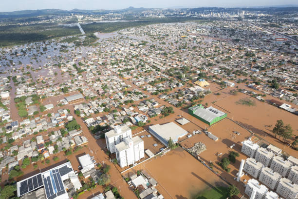 Flood in Rio Grande do Sul flood in Rio Grande do Sul. animal rescue in the city of Novo Hamburgo. many dead animals and people left behind drenched stock pictures, royalty-free photos & images