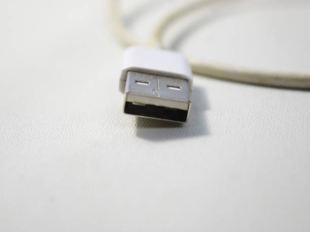 istock Close up the white broken smartphone usb cable on white wooden background. 2151639061