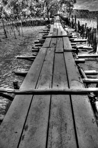 Long Wooden Pathway on Mudflats (in monochrome)