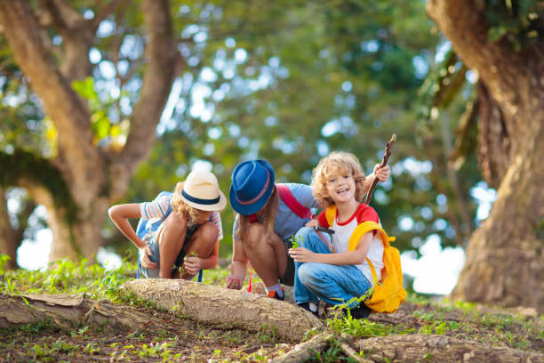 istock Kids explore nature. Children hike in sunny park. 2151646295