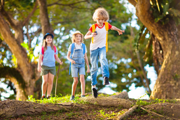 istock Kids explore nature. Children hike in sunny park. 2151646411