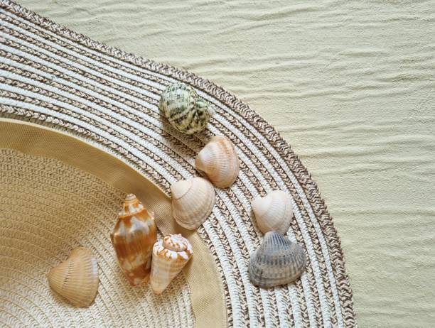 istock Pile of seashells in a hat 2151649286