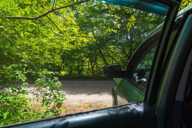 Car stop on the road in the green forest