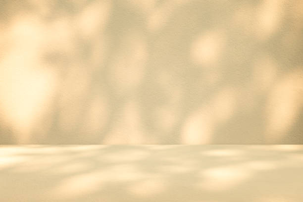 istock Wall interior background, studio and backdrops show leaf products.with shadow from window color beige and white. background for text insertion and presentation product 2151650875