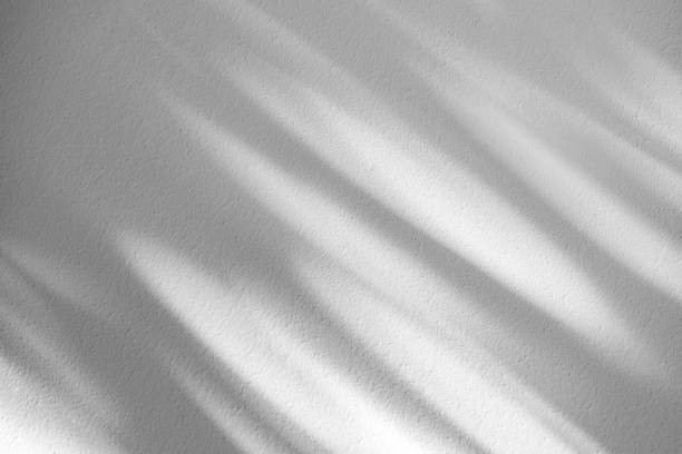 istock Wall interior background, studio and backdrops show products.with shadow from window color white . background for text insertion and presentation product 2151650903