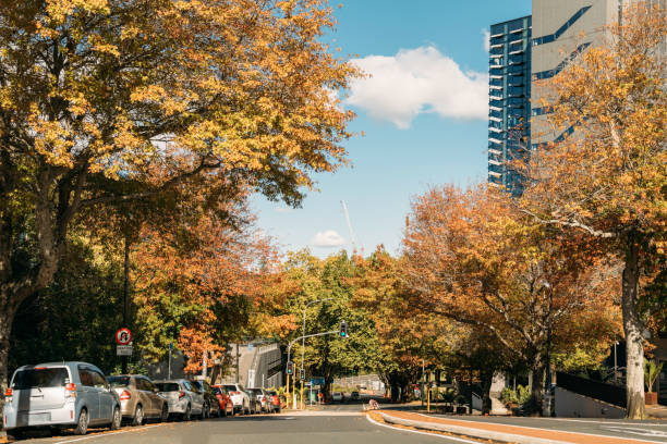istock Auckland city autumn scenery 2151651663
