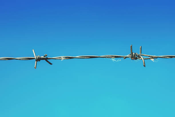 Sharp barbed wire against blue sky, containment and imprisonment concept, selective focus