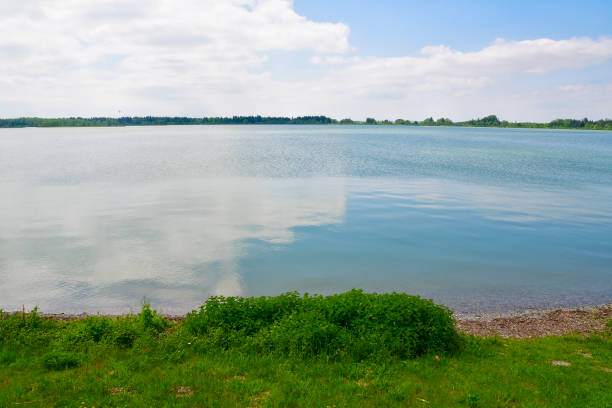 A vast expanse of liquid, reflecting the clouds in the sky, with a lush grassy bank in the foreground, creating a tranquil natural landscape by the lake