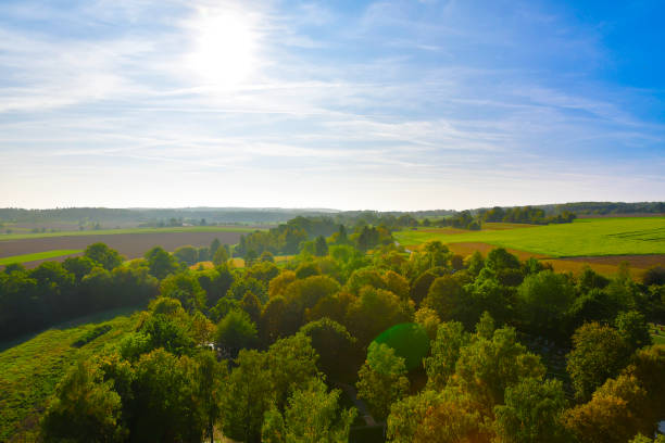 istock The sun shines through the trees, casting shadows on the grassland 2151652172