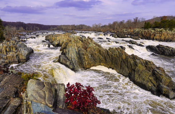 istock Great nature with river in Washington DC 2151652324