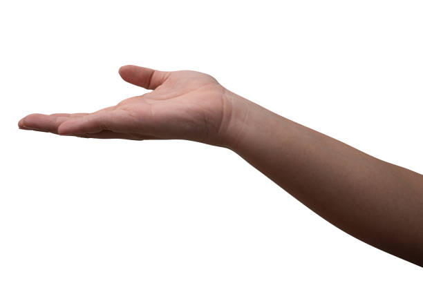 istock Male hand reach and ready to help or receive. Gesture isolated on white background. 2151655957