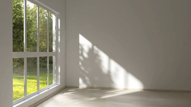 istock Empty room with white wall in sunlight from window, tree shadow on wood laminated floor 2151663368