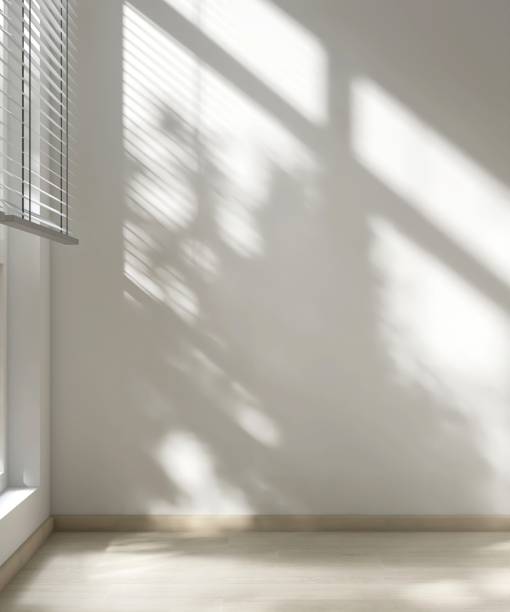 istock Empty room with white wall in sunlight from window blind, tree shadow on wood laminated floor 2151663397