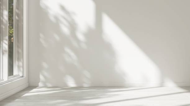 istock Empty white wall room in sunlight from window, tree shadow on baseboard, wood laminated parquet floor 2151663410