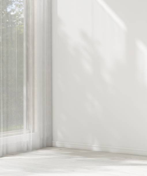 istock Empty white wall room in sunlight from window with sheer curtain, tree shadow on baseboard, wood laminated parquet floor 2151663419