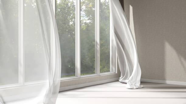 istock Empty beige wall room in sunlight from window, blowing white sheer, brown blackout curtain tree shadow on baseboard, carpet floor 2151663426