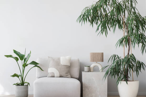istock Modern interior design with plants, green living concept 2151663783