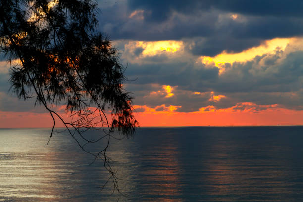 Sunrise and silhouette of tree at beach Ban Krut Prachuap Khiri Khan Province in Thailand is famous for travel and relax