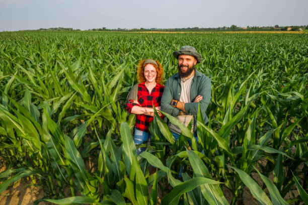 istock Agricultural season 2151667106
