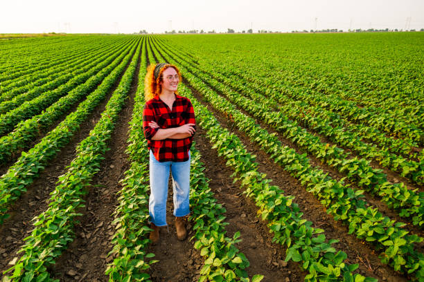 istock Agricultural season 2151667120