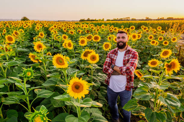 istock Agricultural season 2151667161