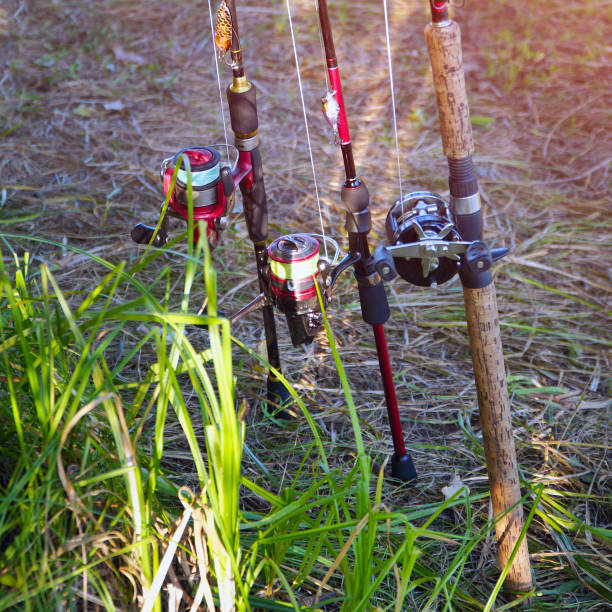 Spinning rods with reels and lures ready for fishing