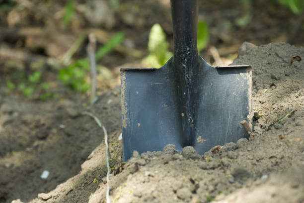 istock Shovel is embedded in the ground, surrounded by well-maintained soil 2151669751