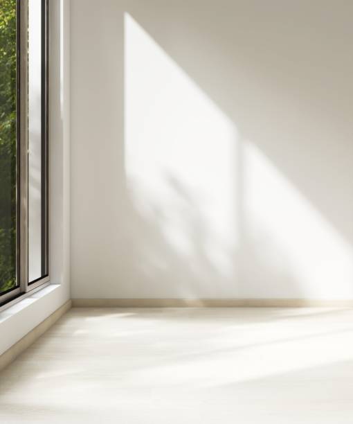 istock Empty room with white wall in sunlight from window, tree shadow on wood laminated floor 2151670196
