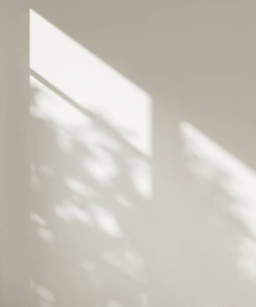 istock Blank clean beige white wall in dappled sunlight from window with tree shadow 2151670199