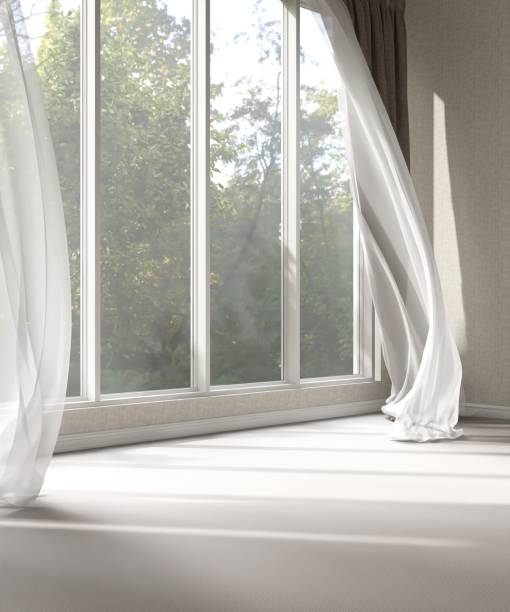 istock Empty beige wall room in sunlight from window, blowing white sheer, brown blackout curtain tree shadow on baseboard, carpet floor 2151670222