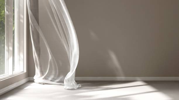 istock Empty beige wall room in sunlight from window, blowing white sheer, brown blackout curtain tree shadow on baseboard, carpet floor 2151670225