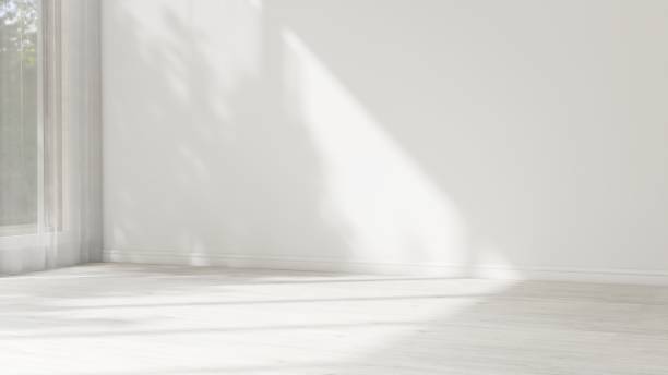 istock Empty white wall room in sunlight from window with sheer curtain, tree shadow on baseboard, wood laminated parquet floor 2151670233