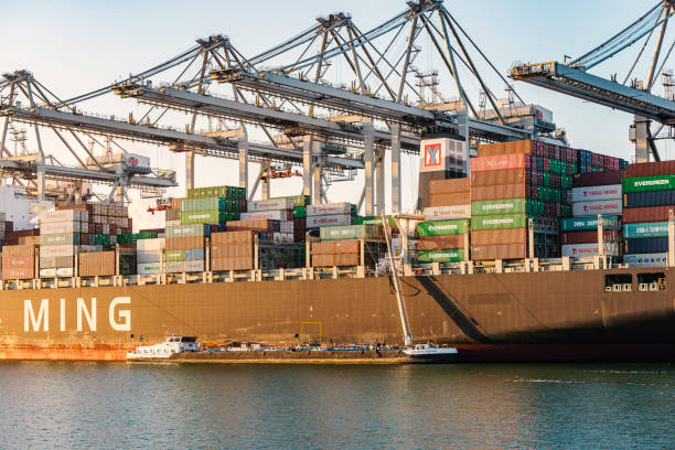 Large cargo container ship  docked in the port of Rotterdam in The Netherlands. Huge overhead cranes are unloading containers from the vessel and putting new containers with cargo on board.