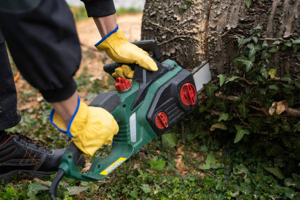istock A man in uniform cuts an old tree in the yard with an electric saw 2151675956