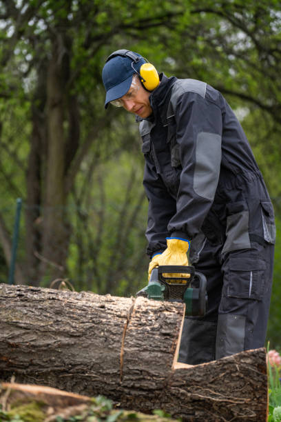istock A man in uniform cuts an old tree in the yard with an electric saw 2151676619