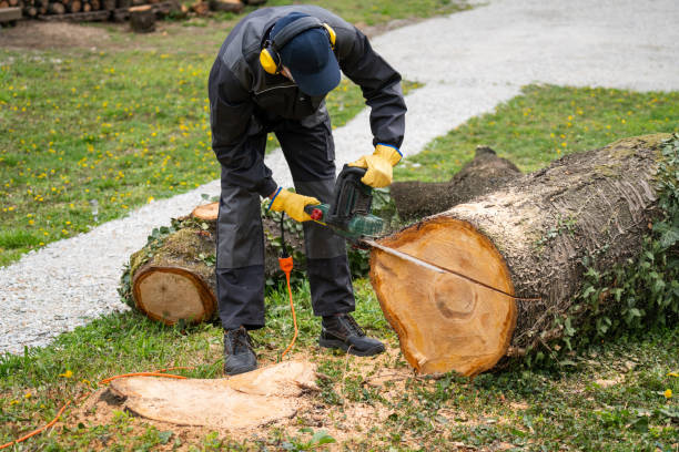 istock A man in uniform cuts an old tree in the yard with an electric saw 2151677492