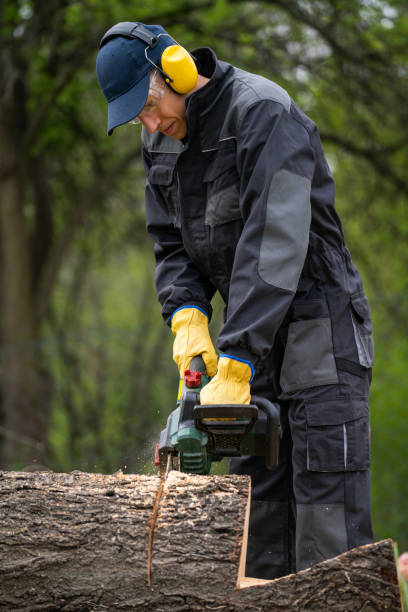 istock A man in uniform cuts an old tree in the yard with an electric saw 2151677500
